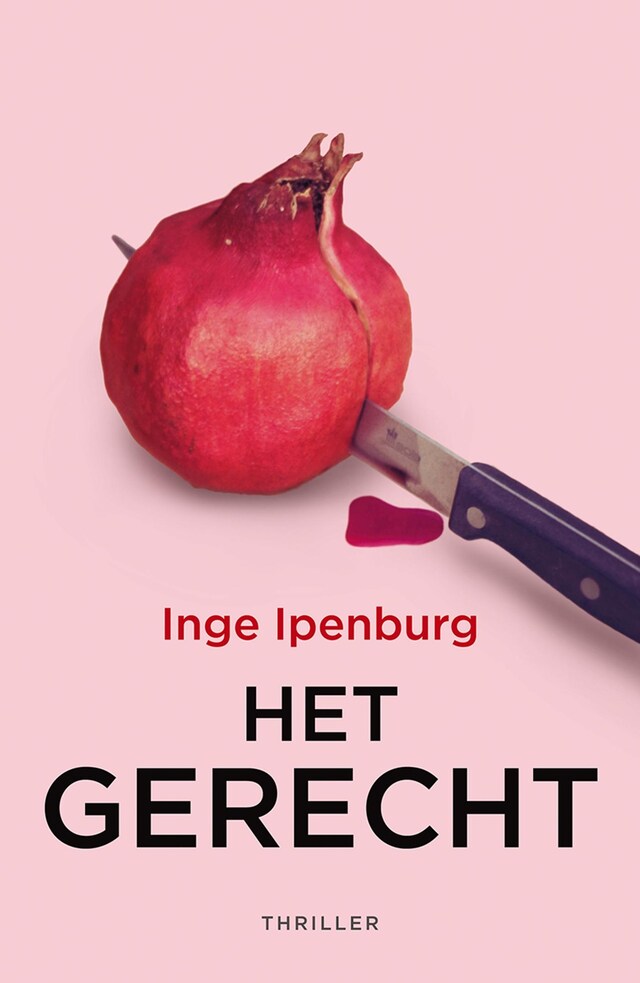 Book cover for Het gerecht