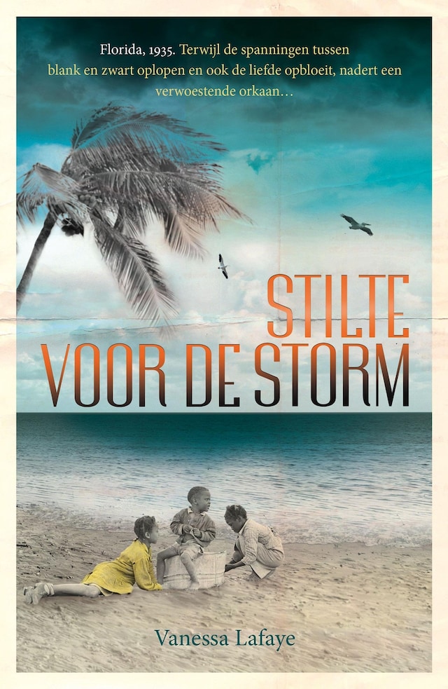 Couverture de livre pour Stilte voor de storm