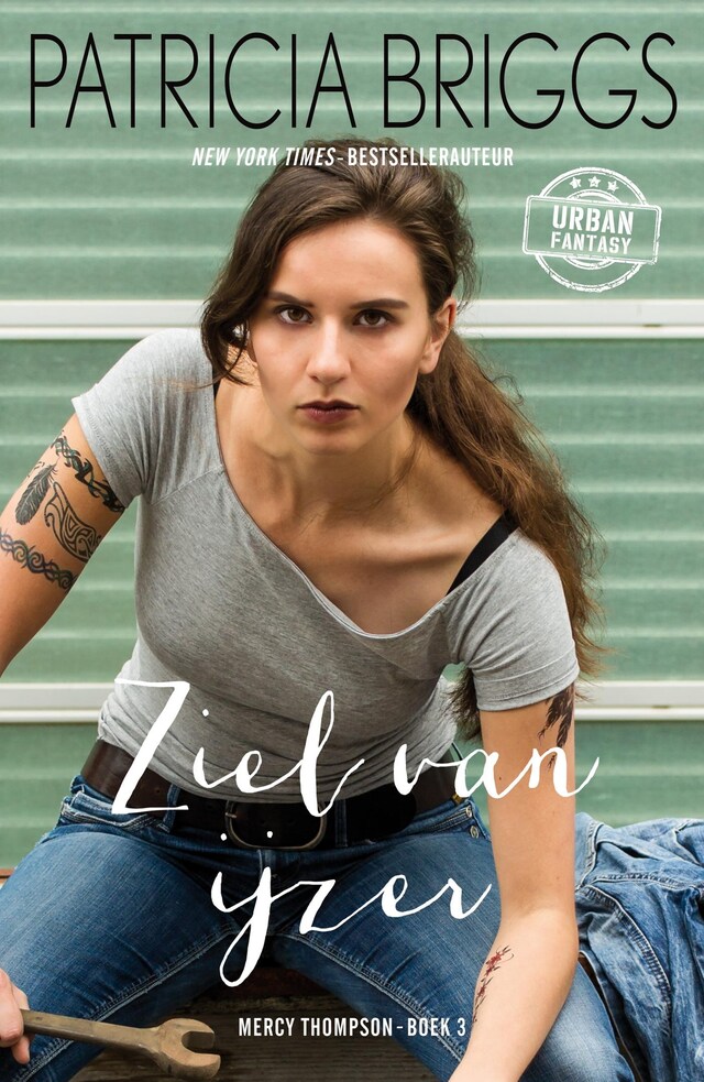 Couverture de livre pour Ziel van ijzer