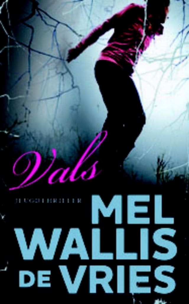 Book cover for Vals