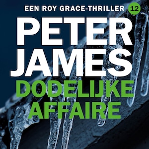 Dodelijke affaire - luisterboek