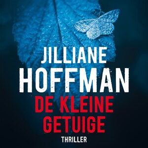 De kleine getuige - luisterboek