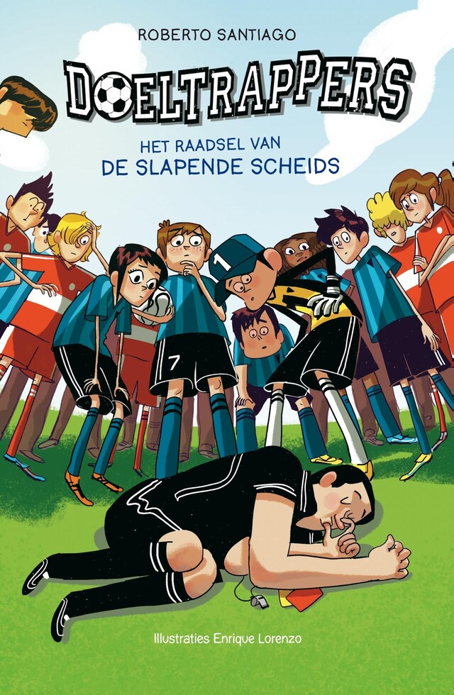 Buchcover für Het raadsel van de slapende scheids