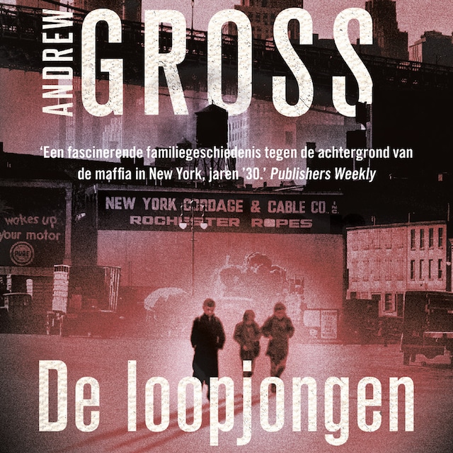 Okładka książki dla De loopjongen