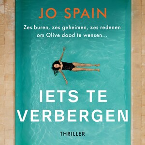 Iets te verbergen - luisterboek