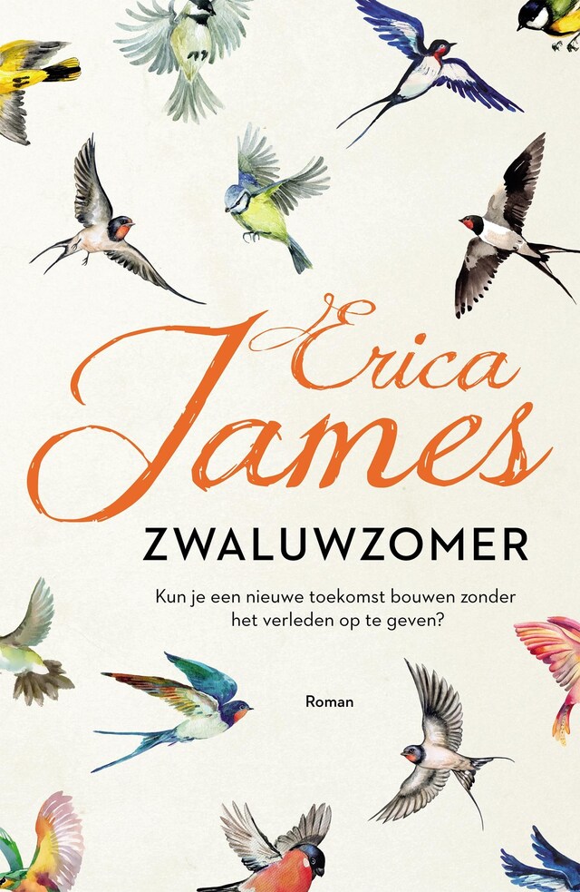 Book cover for Zwaluwzomer