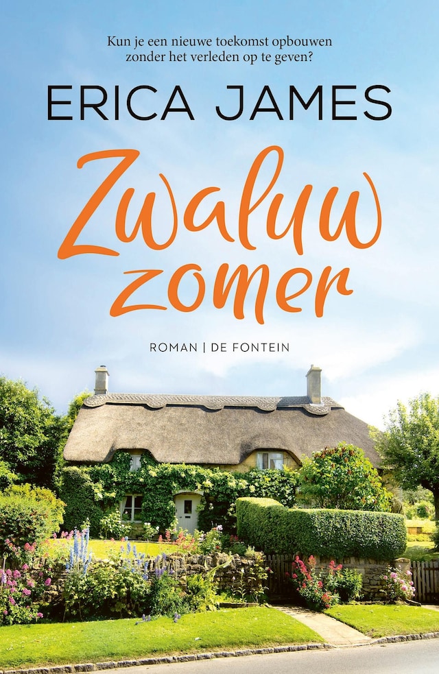 Book cover for Zwaluwzomer