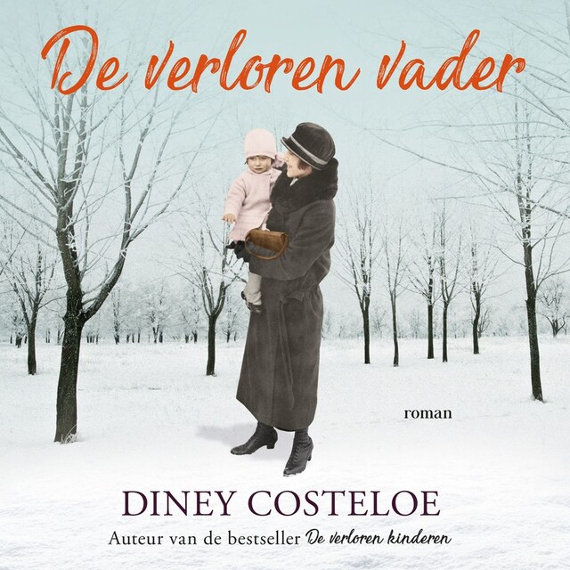 Book cover for De verloren vader