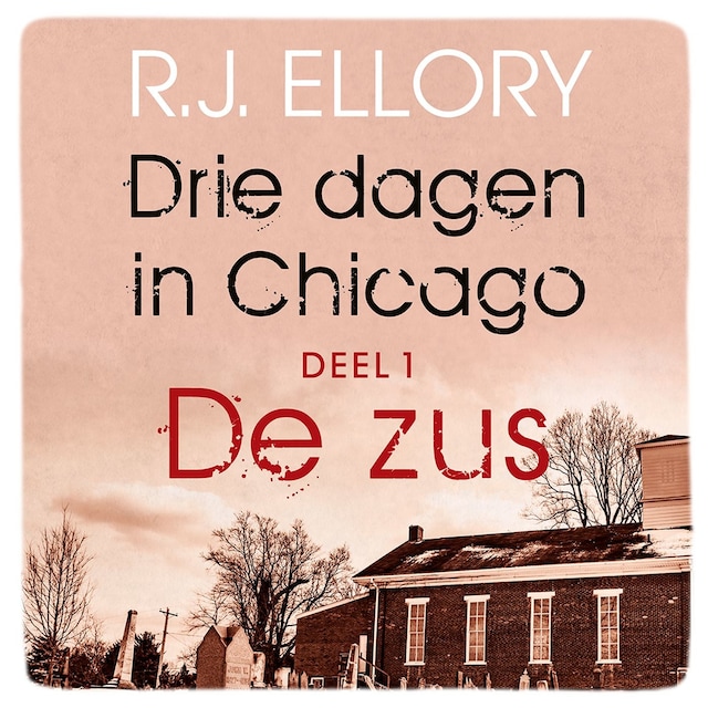 Book cover for De zus