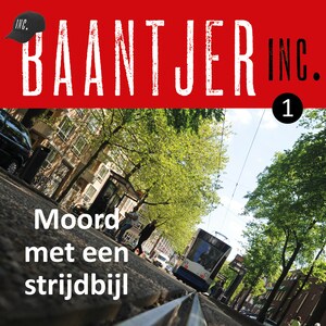 Moord met een strijdbijl - luisterboek