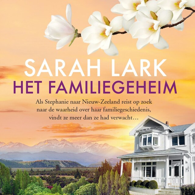 Book cover for Het familiegeheim