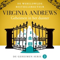Geheimen in het duister