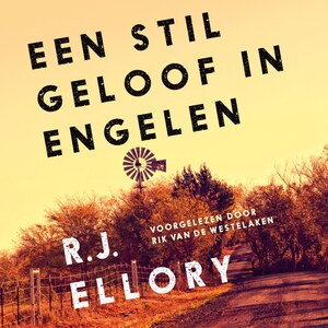 Een stil geloof in engelen - luisterboek