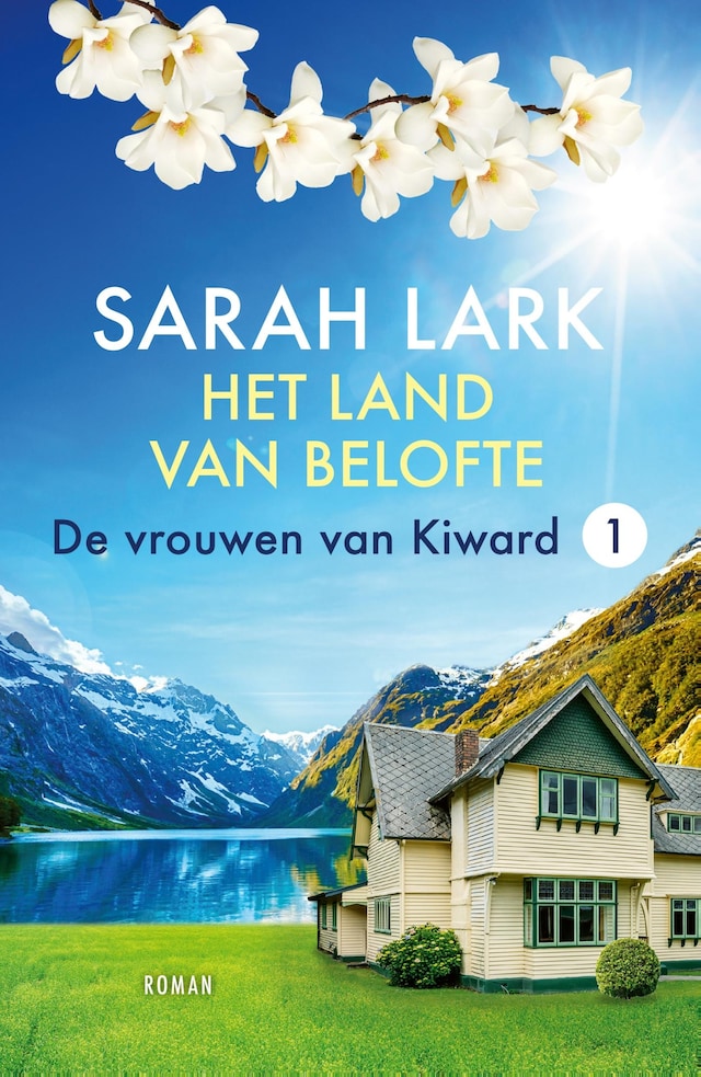 Okładka książki dla Het land van belofte