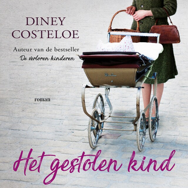 Book cover for Het gestolen kind