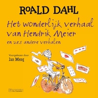 Het wonderlijk verhaal van Hendrik Meier