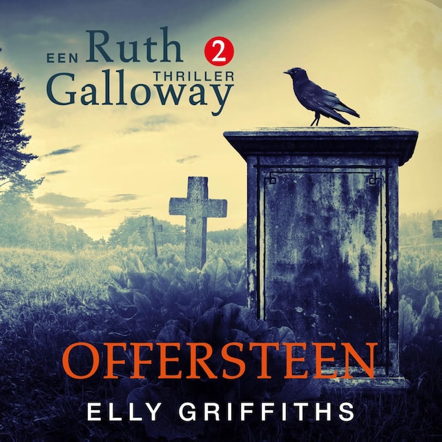 Book cover for Offersteen