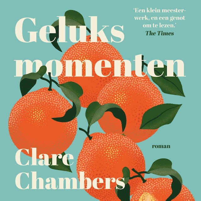 Book cover for Geluksmomenten
