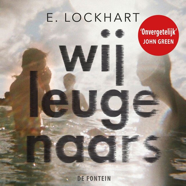 Buchcover für Wij leugenaars