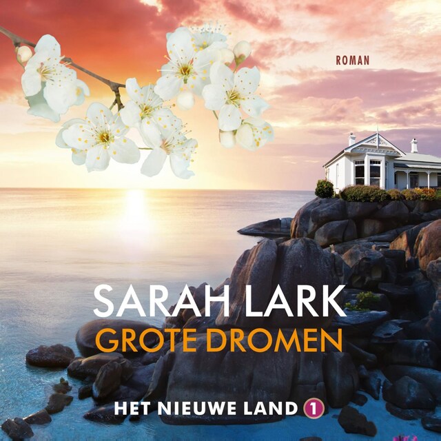 Book cover for Grote dromen