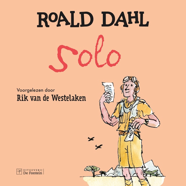 Book cover for Solo