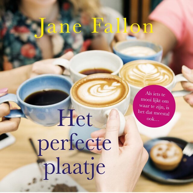 Book cover for Het perfecte plaatje