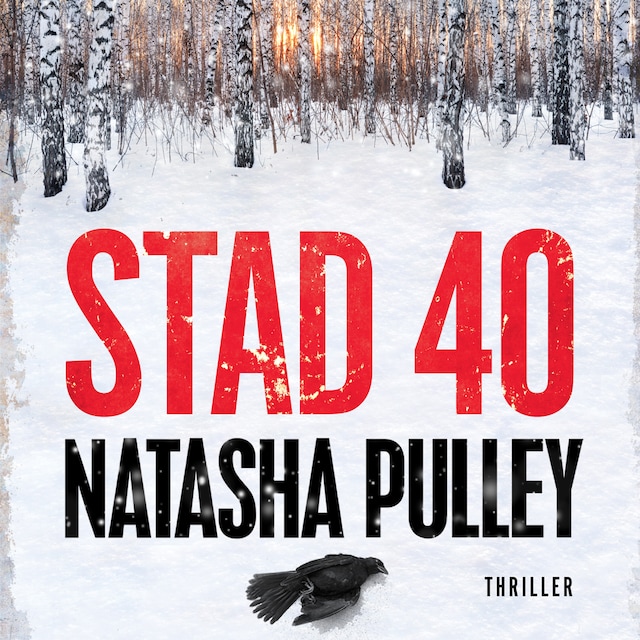 Book cover for Stad 40