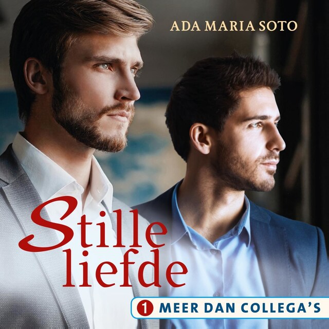 Book cover for Stille liefde