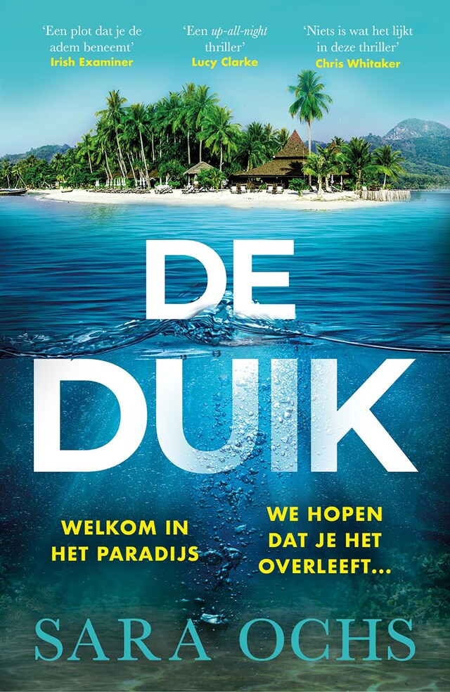 Bokomslag for De duik