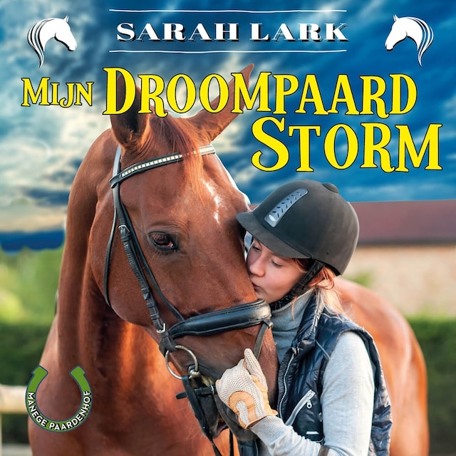 Book cover for Mijn droompaard Storm