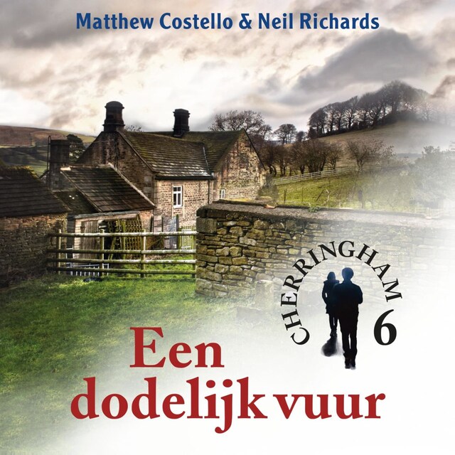 Book cover for Een dodelijk vuur