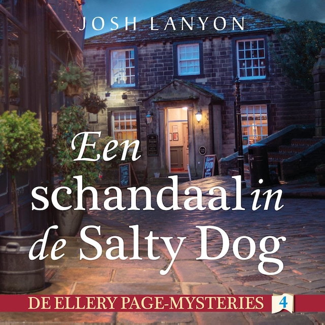 Copertina del libro per Een schandaal in de Salty Dog
