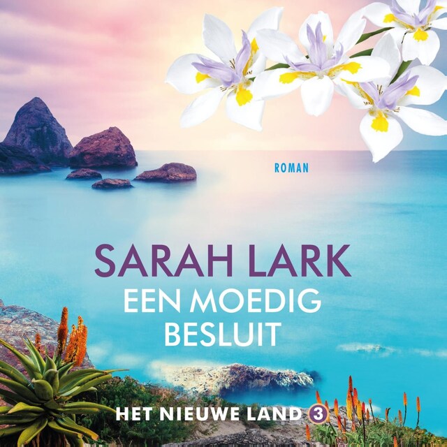 Book cover for Een moedig besluit