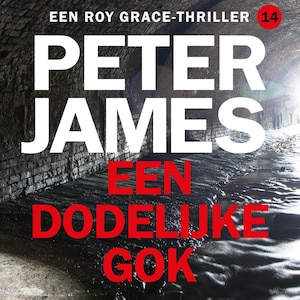 Een dodelijke gok - luisterboek