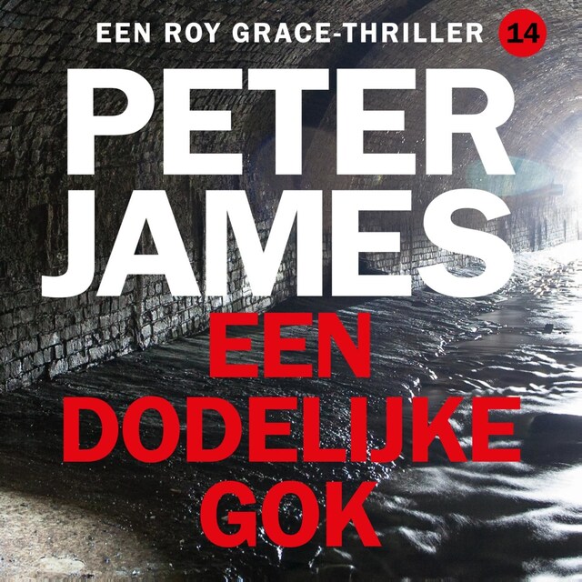 Book cover for Een dodelijke gok