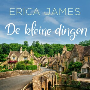 De kleine dingen - luisterboek
