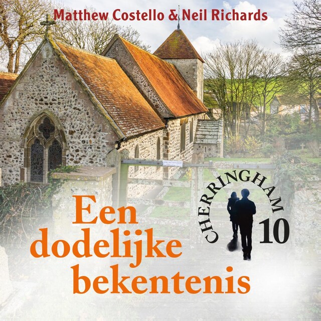 Book cover for Een dodelijke bekentenis