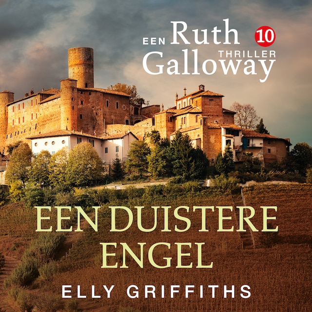 Book cover for Een duistere engel