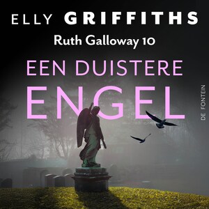 Een duistere engel - luisterboek