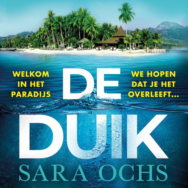 Book cover for De duik