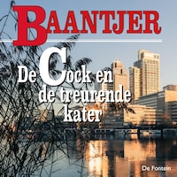 De Cock en de treurende kater
