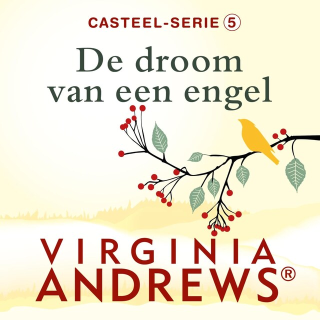 Copertina del libro per De droom van een engel