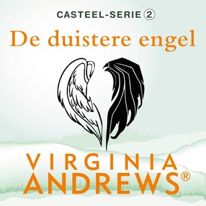 De duistere engel - luisterboek