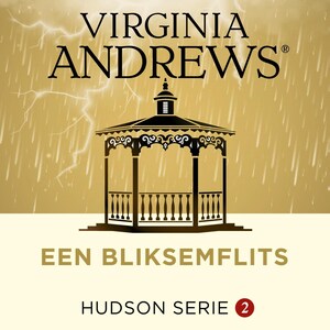 Een bliksemflits - luisterboek