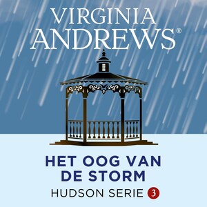 Het oog van de storm - luisterboek