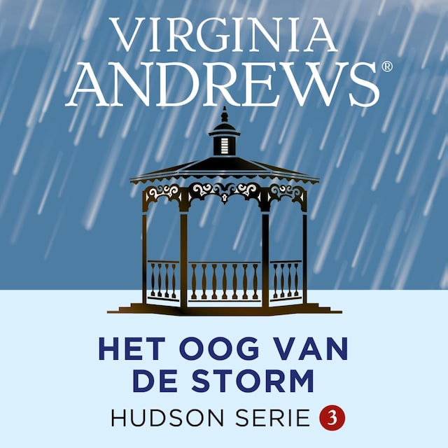 Book cover for Het oog van de storm