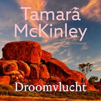 Droomvlucht