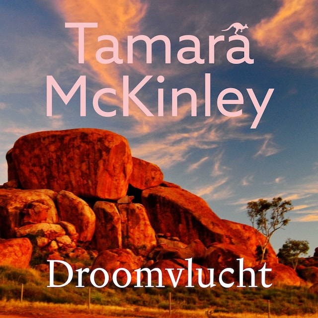 Book cover for Droomvlucht