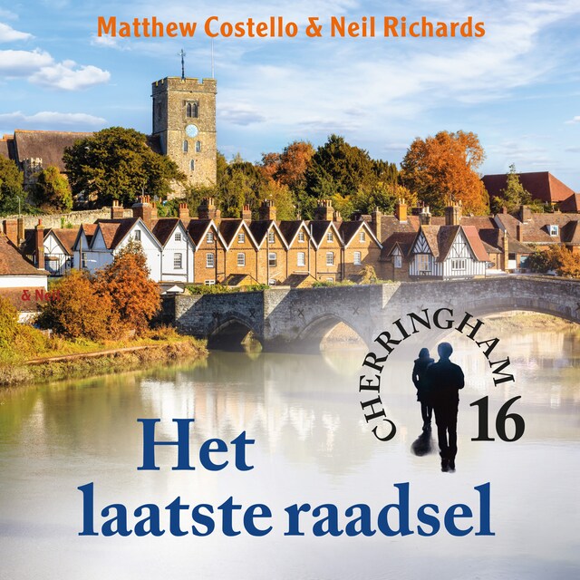 Book cover for Het laatste raadsel