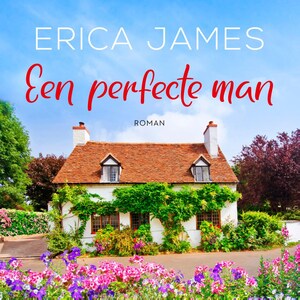 Een perfecte man - luisterboek